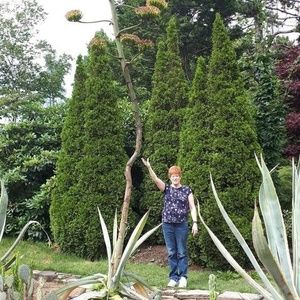 Meet your Posher, Debbie